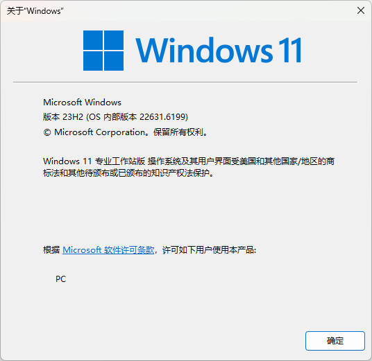 Windows 11 专业工作站版